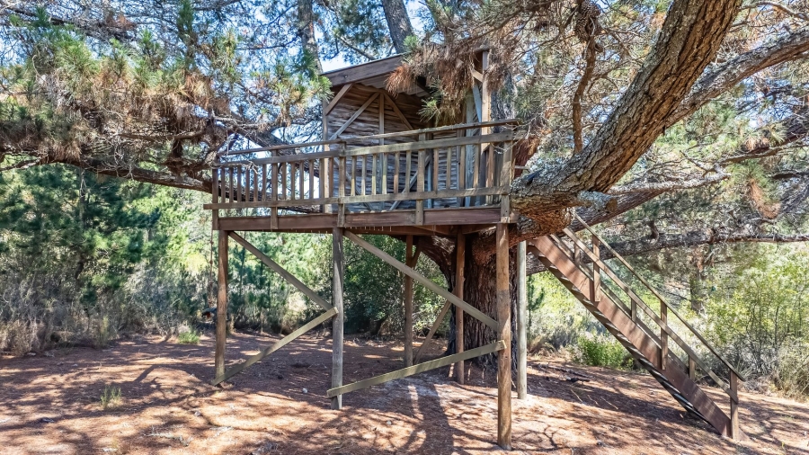 Commercial Property for Sale in Wilderness Rural Western Cape